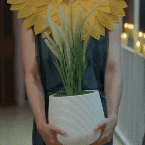 Sunflower Smile GIF