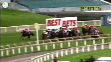 Sport Track GIF by World Horse Racing