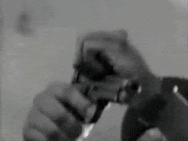 lax  GIF