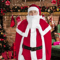 Santa Claus Christmas GIF by teeshoppen