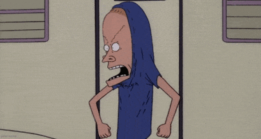 beavis and butthead 90s GIF