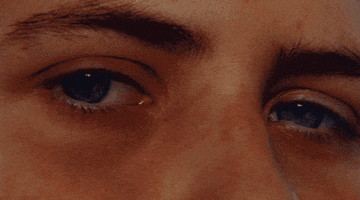 200.gif?cid=fc005b0869fe498462fe2bcba26d7d0ce586a3cf6d7cdb19&rid=200.gif&ct=g
