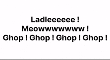 Meow Lad GIF
