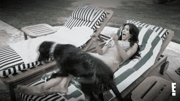 Reality TV gif. Kim Kardashian on "Keeping up with the Kardashians" lays on a lounge chair, startled and exclaiming after a dog jumps on and off her chair.