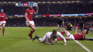 Come On Hug GIF by Guinness Six Nations