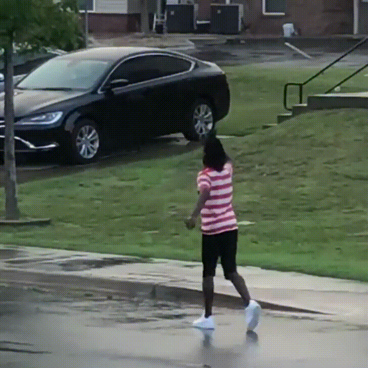 Pesky Wabbit GIF