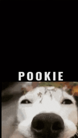 Ohhyogesh GIF