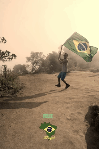 Brazils Independence September7 GIF