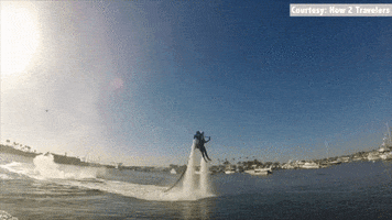 GIF by HLN