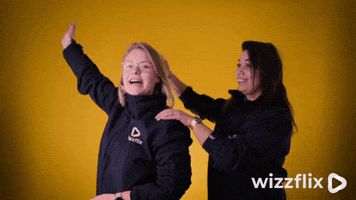 Wizzflix GIF