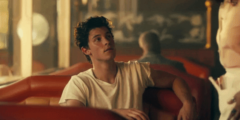 Shawn Mendes Camila Cabello GIF by Shawn Mendes - Find & Share on GIPHY