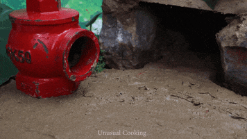 Fish Mud GIF by UnusualCooking