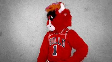 benny the bull reaction pack GIF by Chicago Bulls
