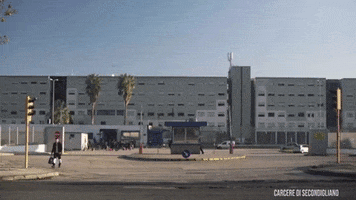 200.gif?cid=fc005b0889632b3e156008a54476de0a8310b5ef5332b8be&rid=200.gif&ct=g