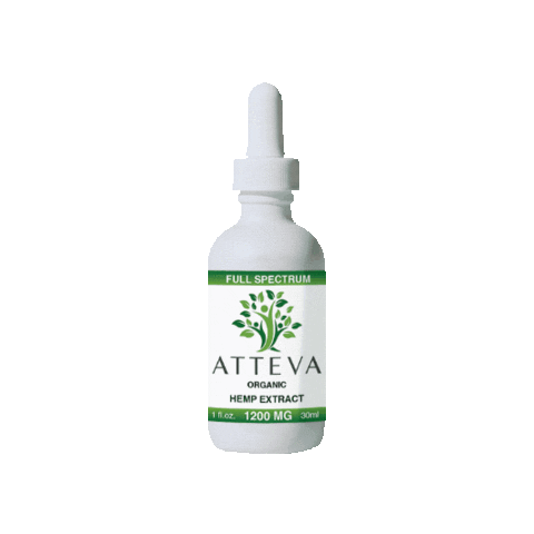 ATTEVA Sticker