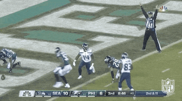 National Football League Touchdown GIF by NFL