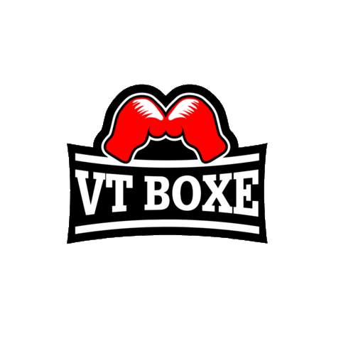 Vt Bagnolo Sticker by Stampa 3D Crema