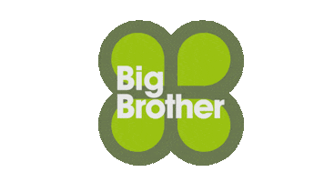 Big Brother Logo Sticker by Girls Aloud