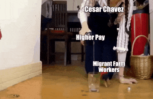 Meme gif. Woman pours water from a bottle into a glass cup sitting on the ground while a parrot hops happily in circles around the cup. The woman is labeled "Cesar Chavez," the water bottle is labeled, "Higher pay," and the parrot is labeled "Migrant farm workers."