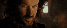 Lotr GIF