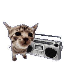 Boombox Dancing Cat Sticker