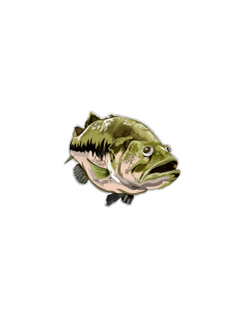 Largemouth Bass Sticker by Bucketmouthbrand