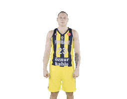 Basketball Cubuklu Sticker by Fenerbahçe Öznur Kablo