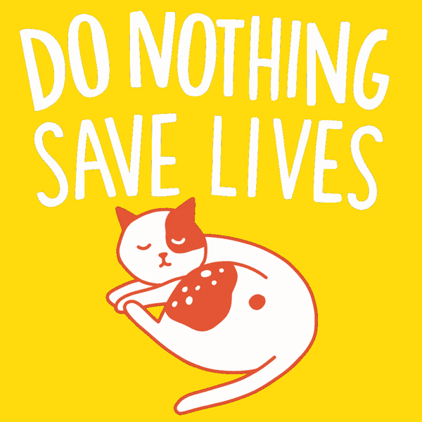 Do Nothing Cat GIF by INTO ACTION