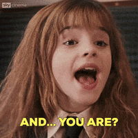 Harry Potter What GIF by Sky