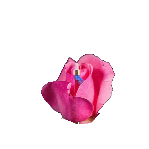 Beauty Волосы Sticker by Anna Gale