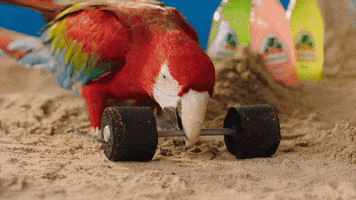 Working Out Muscle Beach GIF by Jarritos