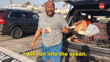 Excited Beach GIF by BuzzFeed