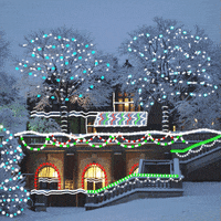 Christmas Snow GIF by Chatham University