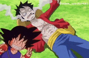 One Piece GIF