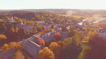 New England College GIF by Middlebury