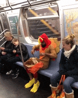 Thanksgiving Day GIF by Storyful
