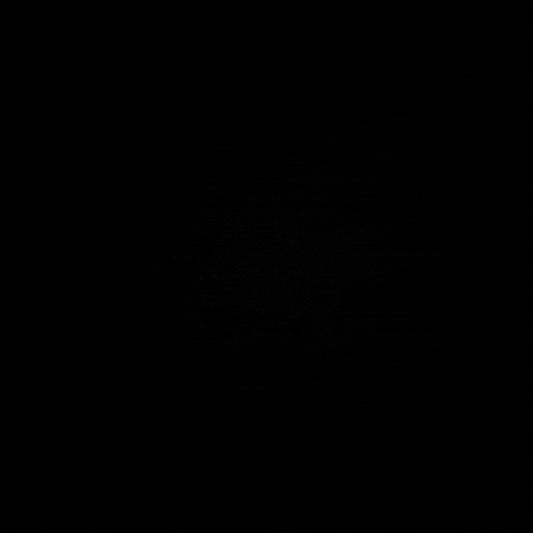 Plant Garden GIF by Olive Partners