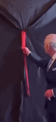 Prince Charles Art GIF by systaime