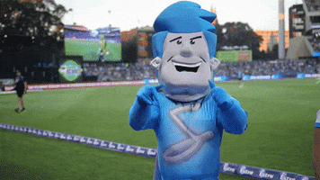 smash GIF by Adelaide Strikers