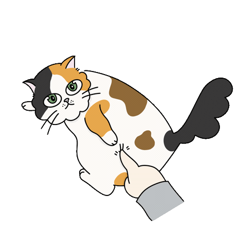 Cats Sticker