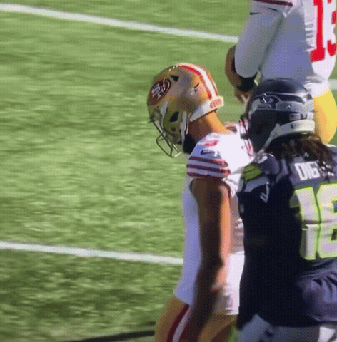 Seattle Seahawks Nfl GIF
