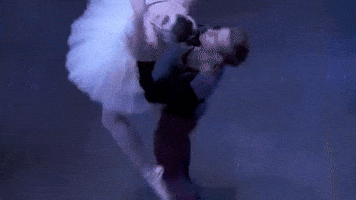 swan lake lift GIF by New York City Ballet