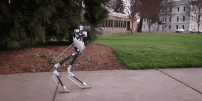 Oregon State Robot GIF by Oregon State University