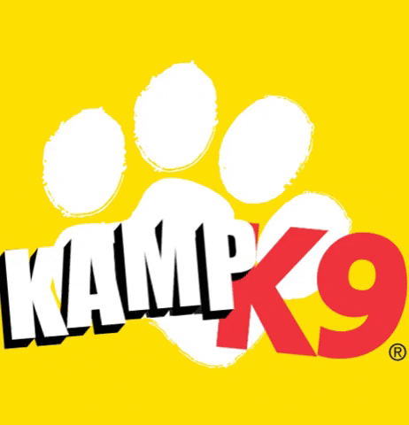 Dog Camping GIF by KampgroundsofAmerica