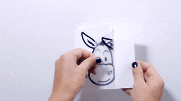 Vinyl Install GIF