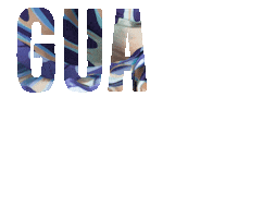 Eduardo Figueroa Sticker