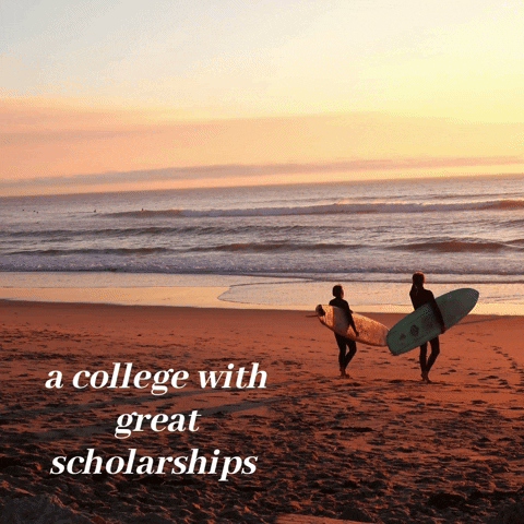 GIF by San Diego Christian College