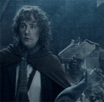 Lord Of The Rings Pippin GIF by Maudit
