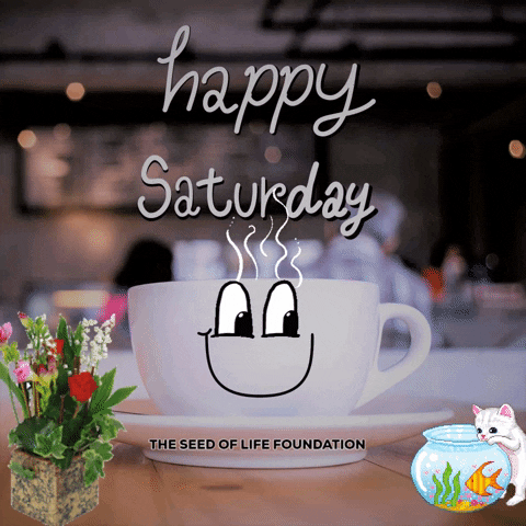 Happy-saturday-morning GIFs - Get the best GIF on GIPHY