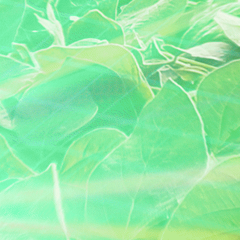 Dotte GIF by Ourofino Agrociência